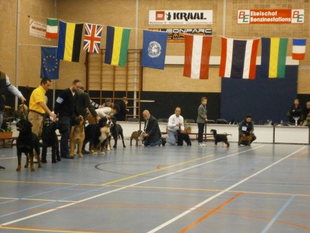 Groepskeuring KV Waalwijk 20-01-2013